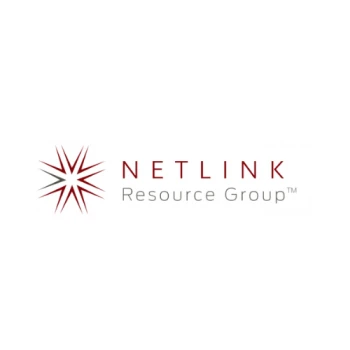   Netlink Resource Group – API Integration Services & Custom API Development 